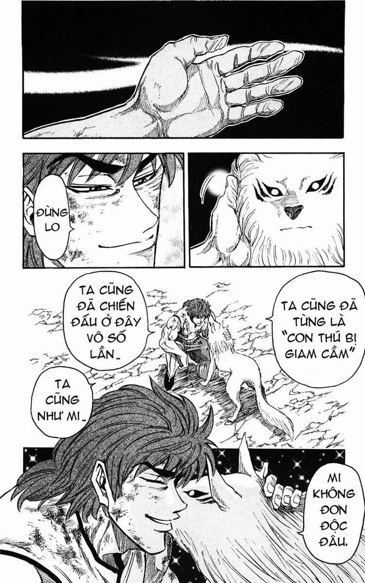 Trang 16