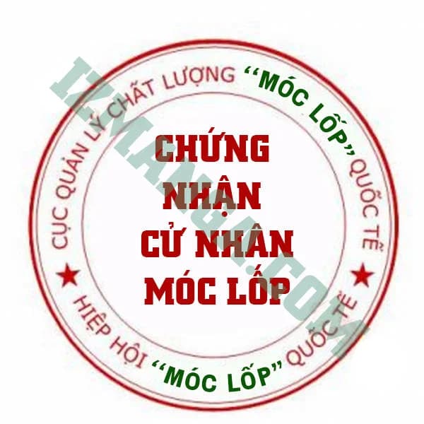 Trang 20